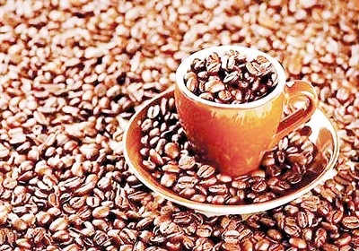 SCAFE’ - Thương hiệu cà phê sạch – an toàn cho người tiêu dùng