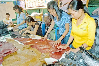 Hợp tác xã hay doanh nghiệp?