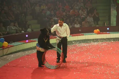 Đại hội xiếc thú ảo thuật chào mừng ngày Sân khấu Việt Nam