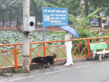 Cần xử lý các hành vi sai phạm  ở một số người  dân  tại công viên 23-9