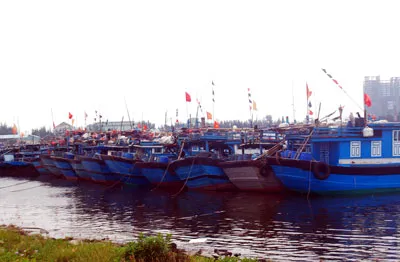 Đến sáng nay 6-10, gần 1.000 tàu cá của ngư dân miền Trung đã vào neo đậu tại âu thyền Thọ Quang, Đà Nẵng. Ảnh: Nguyễn Hùng