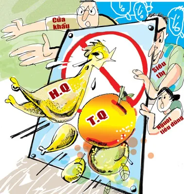 Hệ thống phân phối tại TPHCM: Ưu tiên bán hàng trong nước