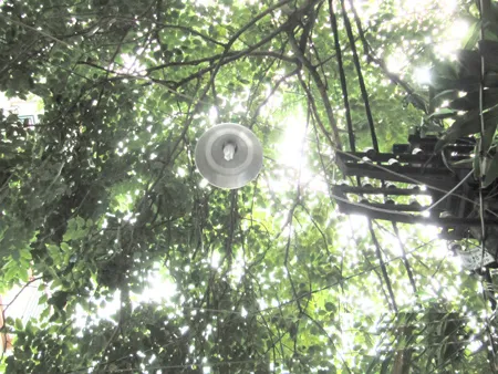 “Ý tưởng tiết kiệm điện - Năm 2012”: Cần xây dựng hệ thống đèn dân lập tiết kiệm điện ảnh 4