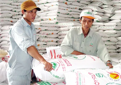 Ngành mía đường - Cần gắn kết tạo sức cạnh tranh