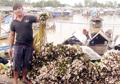 Sống theo cơn nước đầu nguồn