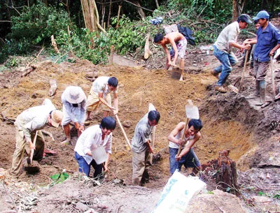 Khánh Hòa: Cán bộ ăn chặn kỳ nam?