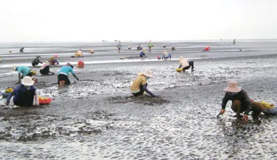 Trộm vặt ở nông thôn - Không còn là chuyện nhỏ