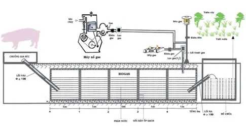 “Ý tưởng tiết kiệm điện - Năm 2012”: Tăng cường sử dụng thiết bị dùng năng lượng khí sinh học