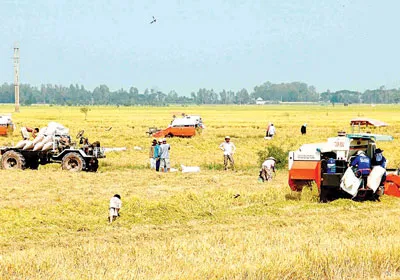 Nhiêu khê như bảo hiểm nông nghiệp