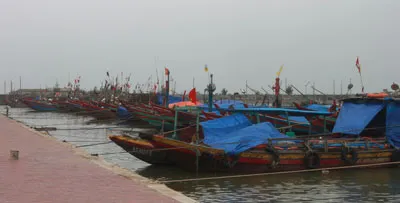Toàn bộ tàu thuyền hoạt động trên biển của ngư dân Hà Tĩnh đã vào bờ tránh bão số 8. Ảnh: Dương Quang.