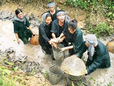 ‘Work as a Farmer’ day tour in the Mekong Delta has attracted many young tourists (Photo: SGGP)