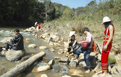 Tourists visit a picnic spot in Kon Plong District in the central highland province of Kon Tum (Photo: SGGP)