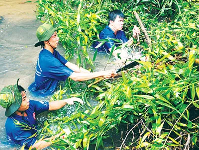 Thanh niên tình nguyện tham gia chiến dịch Mùa hè xanh 2012