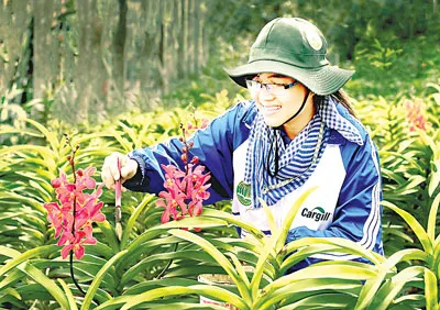 Sinh viên ĐH Nông lâm giúp bà con xã Đông Thạnh (Hóc Môn, TPHCM) cải tạo vườn lan. Ảnh: Việt Dũng