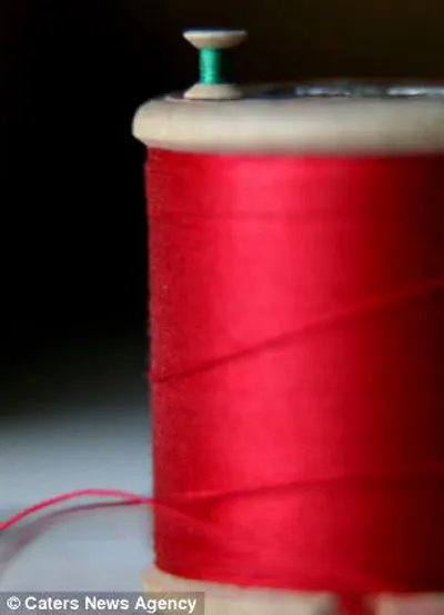 Suốt chỉ tí hon