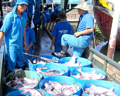 Xuất khẩu thủy sản: Nỗ lực đạt 6,2 tỷ USD