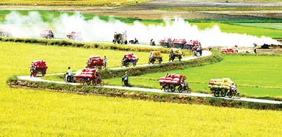 Để  khoa học và công nghệ là điểm tựa cho nông nghiệp - Tạo giá trị gia tăng tối ưu