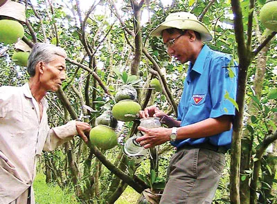 Để KH-CN là điểm tựa cho nông nghiệp - Xây dựng các mô hình nông nghiệp công nghệ cao