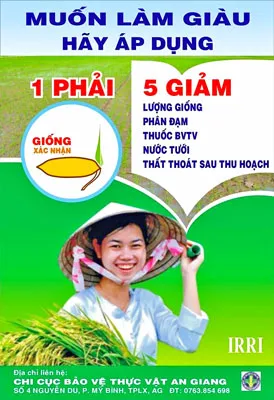 Lạm dụng thuốc bảo vệ thực vật - Báo động đỏ