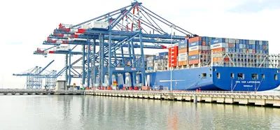 Thu hồi dự án chậm tiến độ: Phải hợp tình, hợp lý