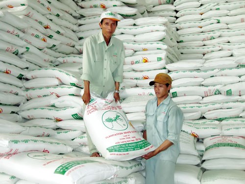 Sugar refineries face rising inventory and steep drop in prices in the Mekong Delta