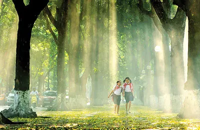 Hà Nội mùa lá rụng. Ảnh: NGUYỄN XUÂN CHÍNH