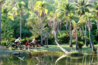 Hành trình xanh đến miệt vườn Nam bộ. Ảnh: HUỲNH NGỌC THẠCH