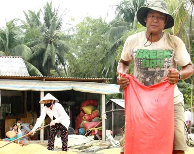 Gỡ khó cho cánh đồng mẫu lớn