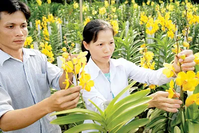 Đẩy mạnh tín dụng phục vụ phát triển nông nghiệp nông thôn TPHCM