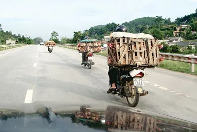 Xe máy chở gà nhập lậu ở Lạng Sơn.