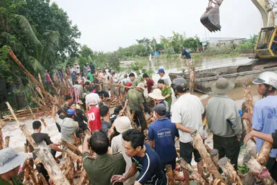 Sản xuất lúa vụ 3: Cân nhắc được, mất  vùng “túi lũ”