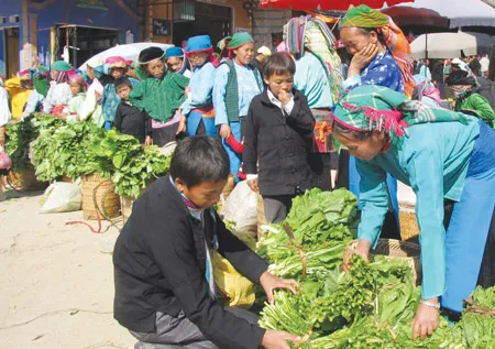 Đánh thức du lịch nội địa