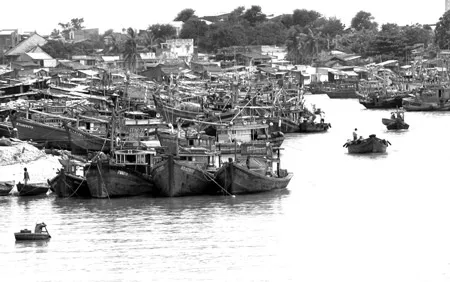 Bình Thuận triển khai nhiều biện pháp ứng phó tác hại lũ lụt