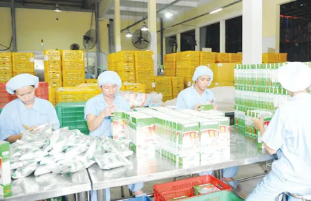 Các mặt hàng sữa bình ổn của TPHCM: Doanh thu tăng, giá ổn định