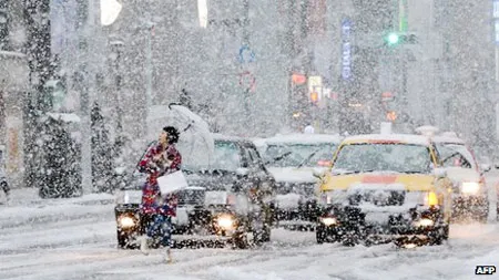 Miền Đông Nhật Bản tê liệt vì tuyết