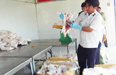 Thịt heo thối, nội tạng thối bị ngành chức năng bắt giữ. (Ảnh minh họa)