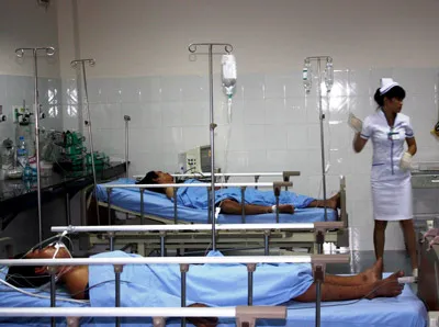 Bình Thuận: Một người  tử vong vì ăn cá nóc