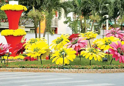 Phố xuân. Ảnh: Tam Anh