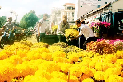 Chạy đua cung ứng hàng tết