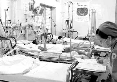 Nan giải đối phó với dịch bệnh