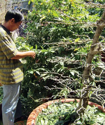 Nghề chơi cũng lắm công phu
