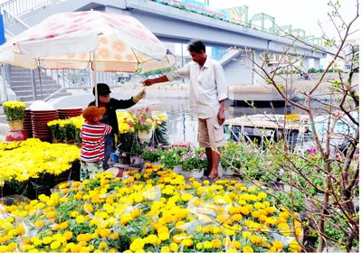 Khai mạc chợ hoa tết ở TPHCM