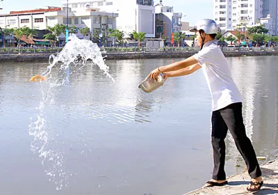 Tái hiện tập tục dựng cây Nêu