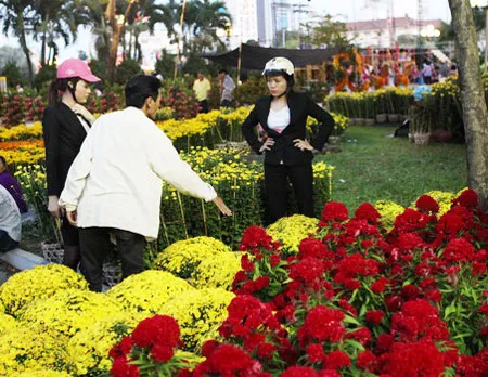 Hoa mồng gà và cúc mâm xôi được nhiều người hỏi mua ở công viên 23-9