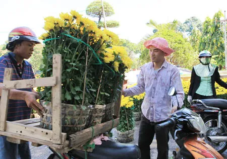 Hoa Tết tấp nập về phố ảnh 6
