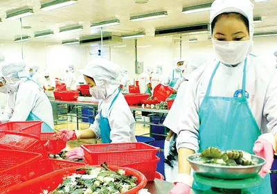 Thế và lực mới của Đồng bằng sông Cửu Long