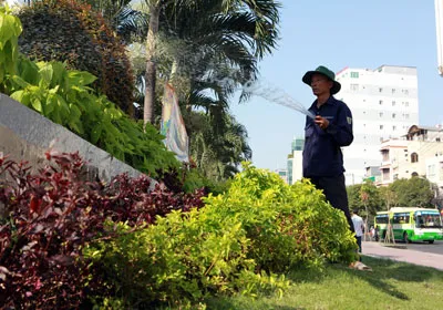Anh công nhân này đang đến tưới cây tại công công viên 23-9 trong ngày đầu năm mới.