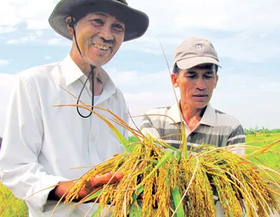 Hạt ngọc ở đồng chó ngáp