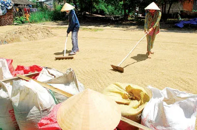 Nông dân đón tết đầm ấm, yên vui