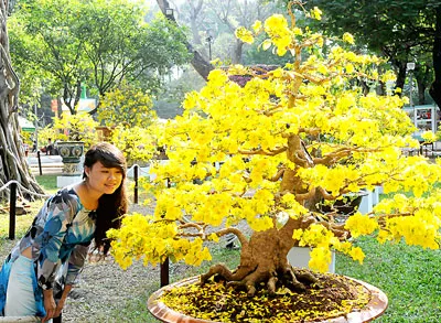 Thú vị Hội hoa xuân